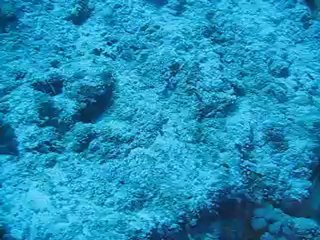 65m Solo Dive in Hamata, testing side mount kit