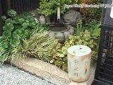 Episode6 Investigation series By Japan Weekly Gardening TV [PLANT×PLAY]