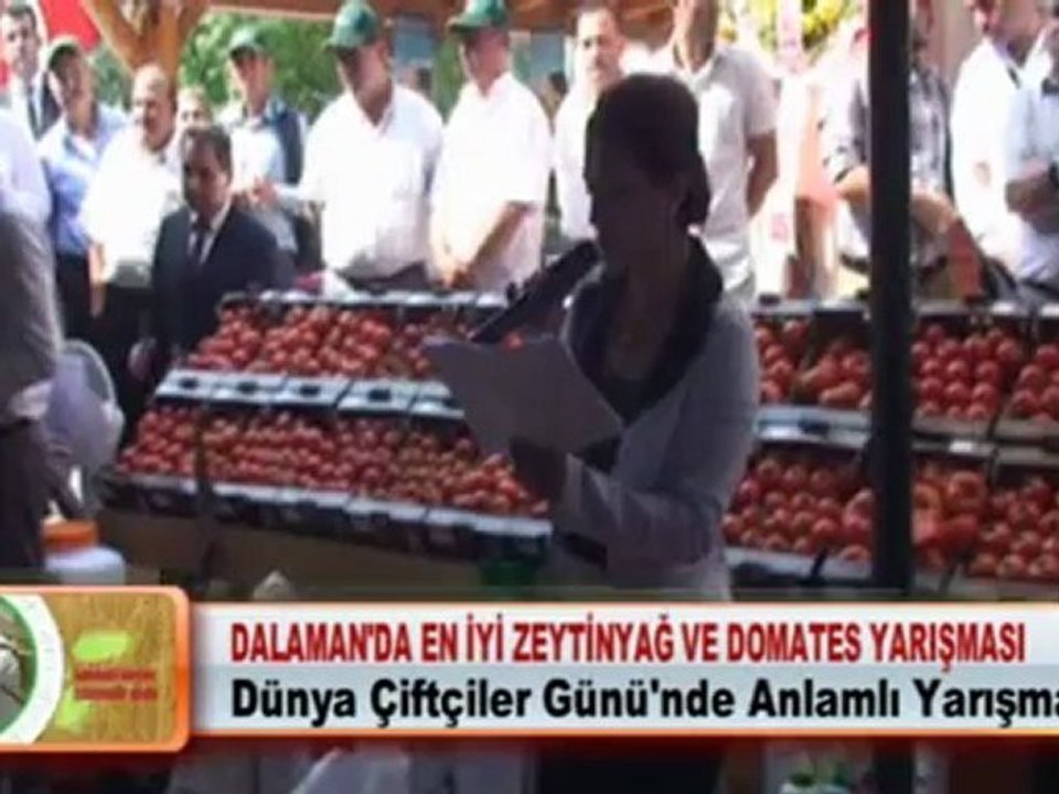 DALAMAN’DA EN İYİ ZEYTİNYAĞ VE DOMATES YARIŞMASI 22.05.2012