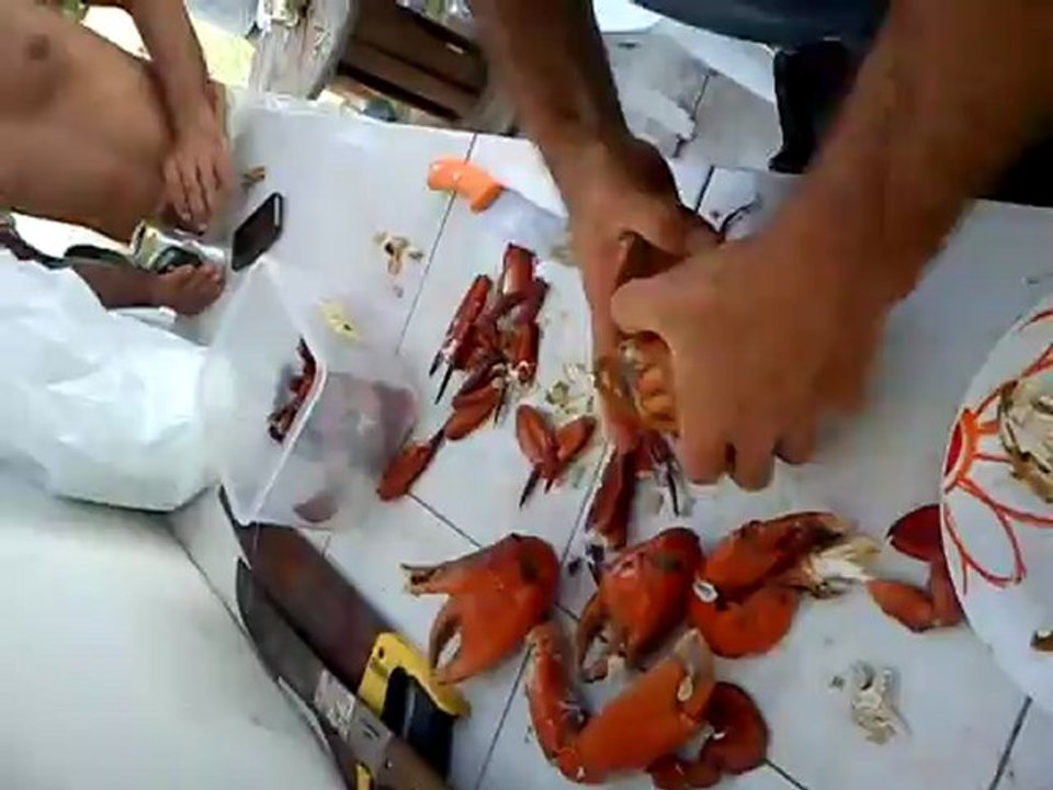 crabe
