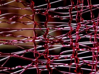 Maison Dalloyau, référent de la Gastronomie française (Paris, Tokyo, Séoul, Dubaï, Doha)