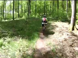 St Saens et sa foret