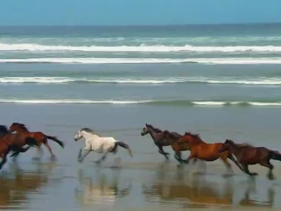 Terrific Institution Free Football Picks Tips plus Be able to Help to make Fast money Right now