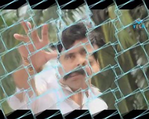 Powerstar Srinivasan in Kamal's Viswaroopam