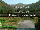 Palestro : histoires d'une embuscade- 2 -Raphaelle Branche