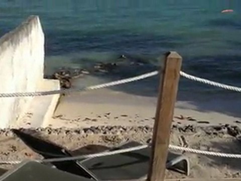 La terrasse devant le lagon de la Villa Carib de Prestige en Guadeloupe