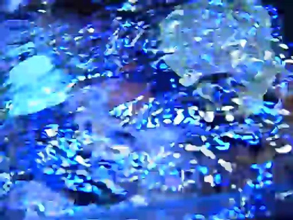 DSCF2836