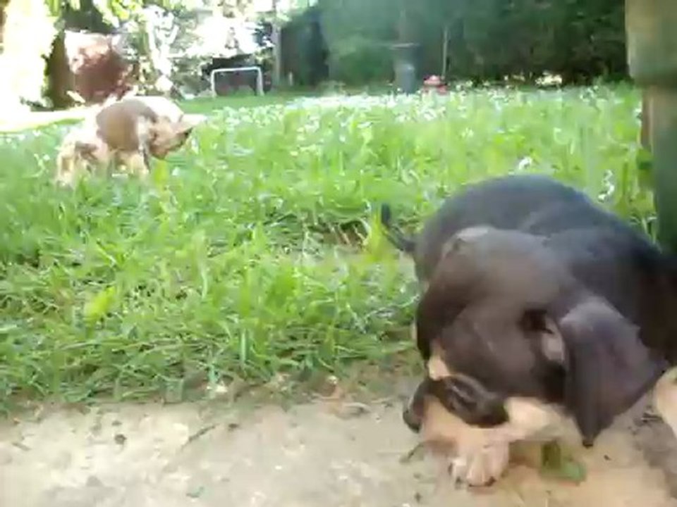 video 3