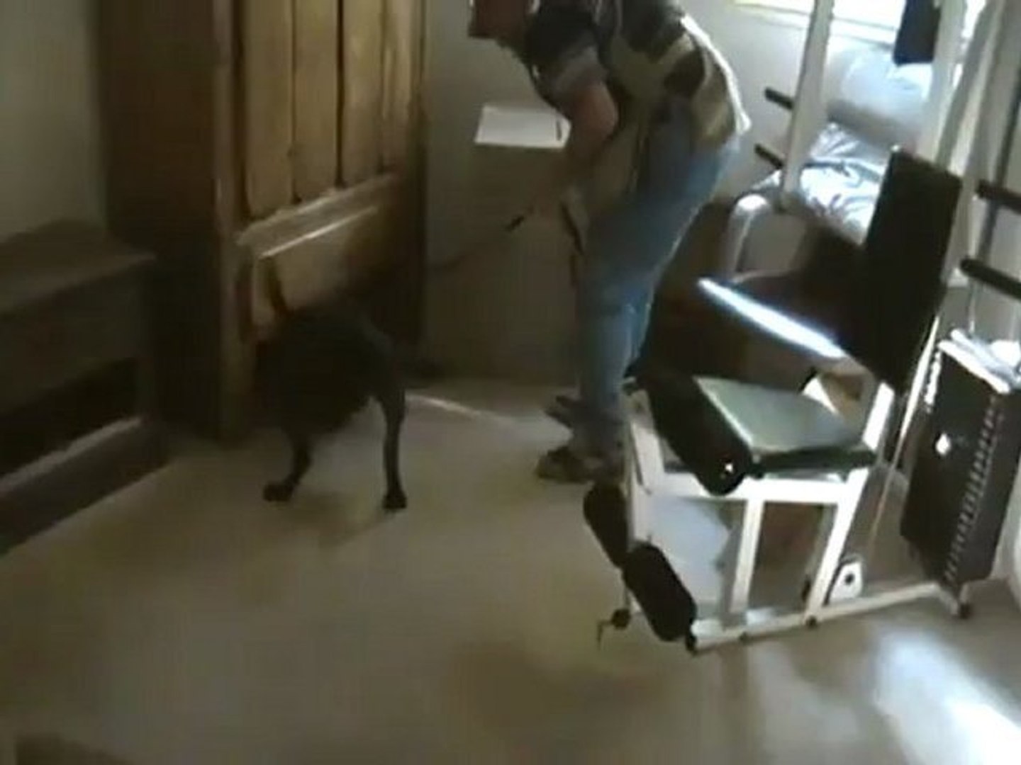 ⁣Bed Bug Sniffing Dog Training Session | Bed Bug Detection Dog Training