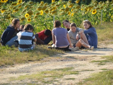 Viens faire un tour à Sablonceaux - album photos