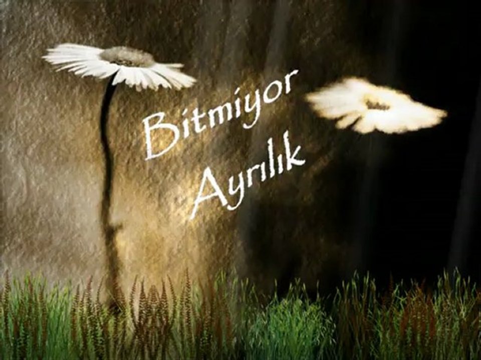 kamil baris - Zeki Müren {Bir Demet Yasemen...)