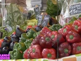 Tour d'horizon du 6ème arrondissement de Marseille