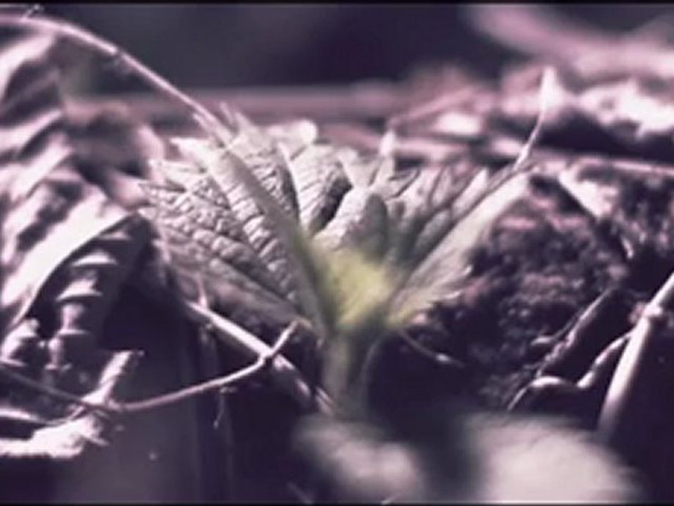 Anthony Rother - Grid Stripper