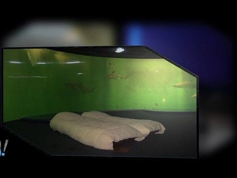 SERIE HÔTELS INSOLITES (WEIRD HOTELS ) - Episode 2 - DORS AVEC LES REQUINS