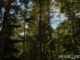 The Twilight Saga Breaking Dawn Part 2 Teaser Trailer