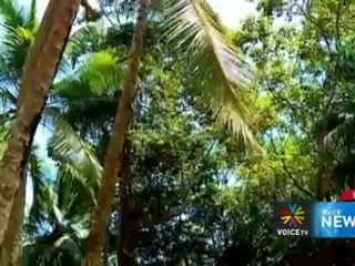 Voice News ประจำวันที่ 22 พฤษภาคม 2555 (22.00น.)