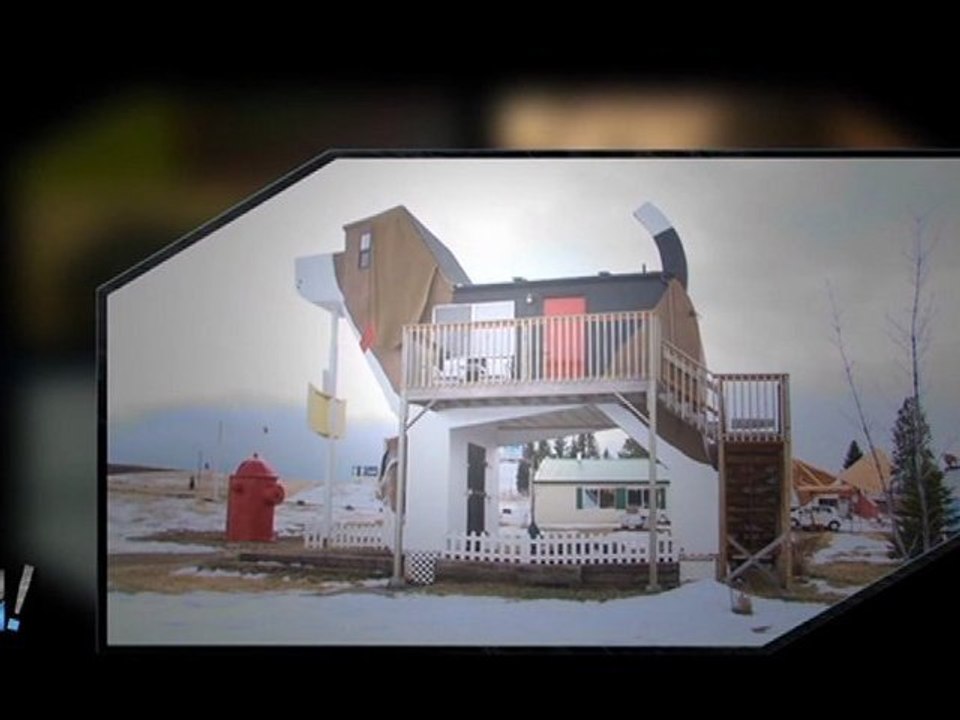 Film : SERIE HÔTELS INSOLITES (WEIRD HOTELS ) - Episode 5 -  DORMIR DANS UN CHIEN