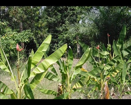 togo2010 Orphelinat de Badja