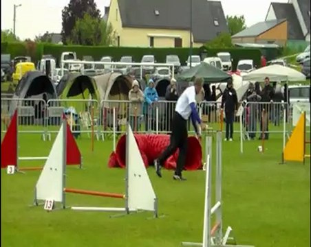 agility trophée par équipe 2012jumping 2ème manche Ty Zef