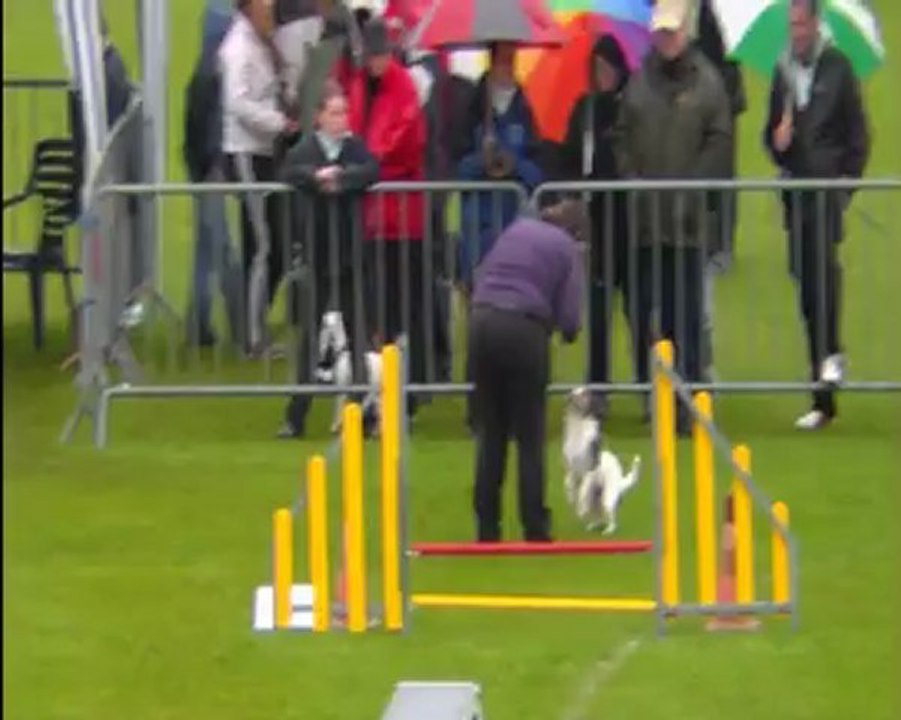 Agility trophée par équipe Ploërmel  2012 Agility 2ème manche les shet'russels