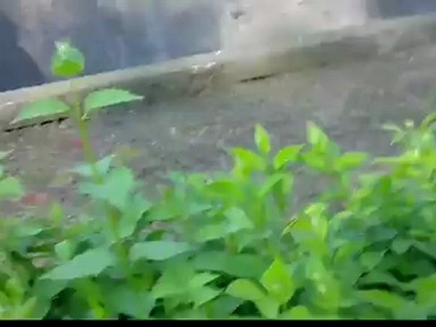 Mój film-20120522-1840