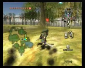 The legend of Zelda Twilight Princess [17] Les insectes dorés