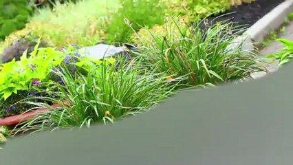 Restaurant Oshawa Whitby Hot Rocks Creative Diner