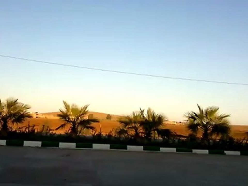 زيز