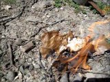 Simple Survival Fire Starter - Cheap And Easy Fire Starting Methods
