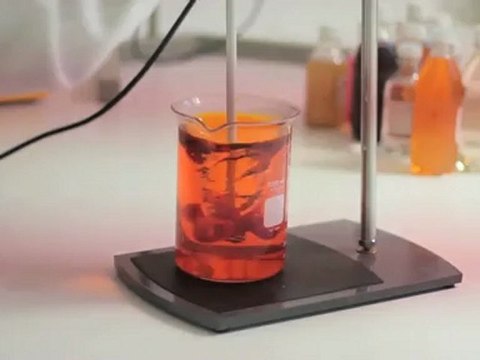 Desarrollo de alimentos y bebidas - Distrito Federal - Innofoods