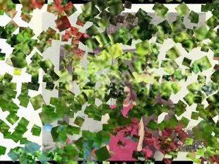 mes parents et moi et chacha