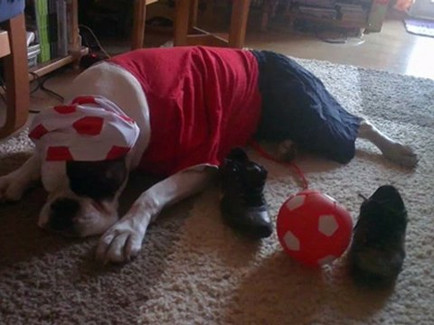 Mój film-20120527-2050