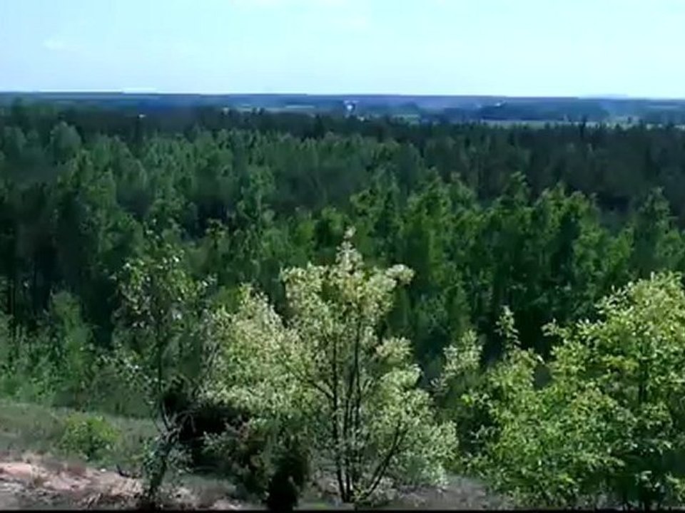 Testuj z Orange - 1 zadanie vid2