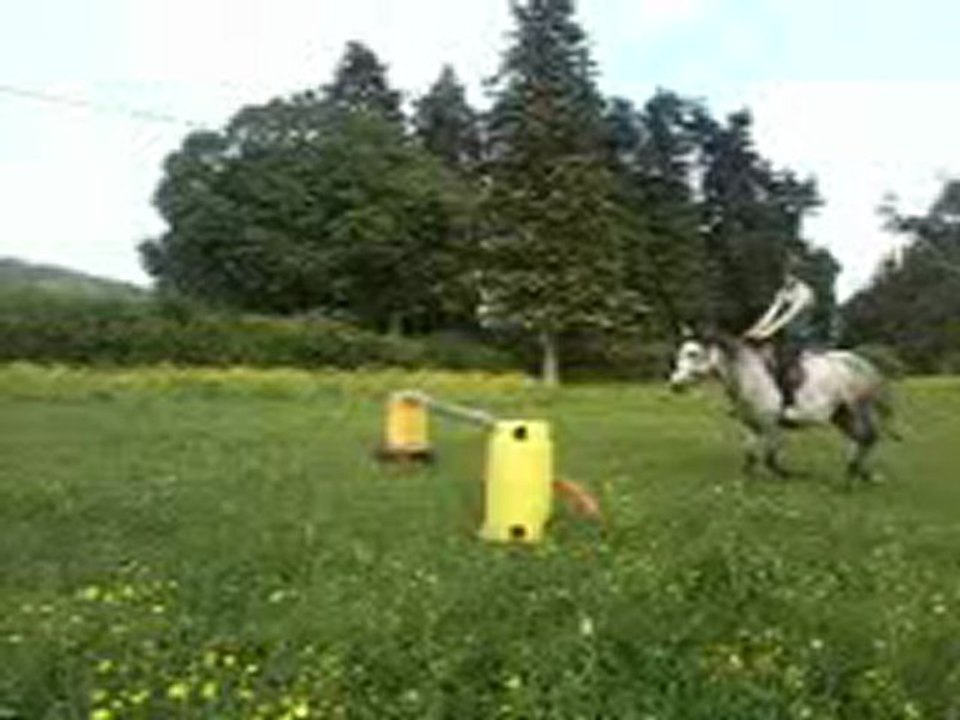 Saut Sapho