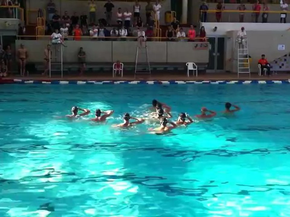 TIP2012 Natation synchronisée (prg libre) Paris aquatique