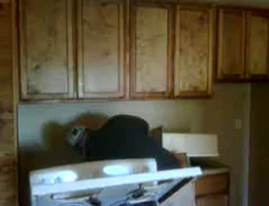 Bed Bugs | Pest Management Albuquerque 87107 505-293-7378
