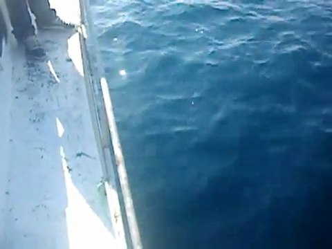 ismail kaptan kazıklı balık avı 6