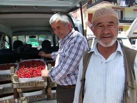 Geyve Kiraz Yetiştiriciliği