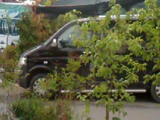 İBİKLİ GÖK DİŞİ YENİ BAŞLIYOR