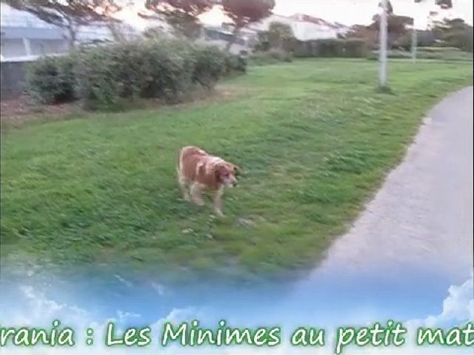 Les Minimes - 23 mai 2012