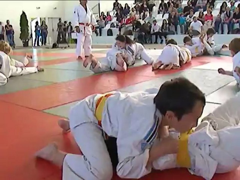 Le judo cartonne à Luçon - TLSV Luçon Vendée - www.tlsv.fr