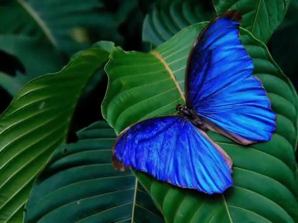 Natalie Grant - Make Me Over