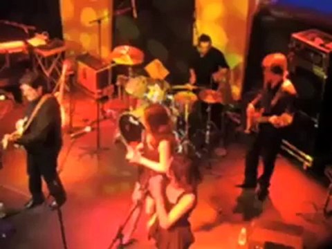 THE LAST VINYL SIXTIES LIVE BAND