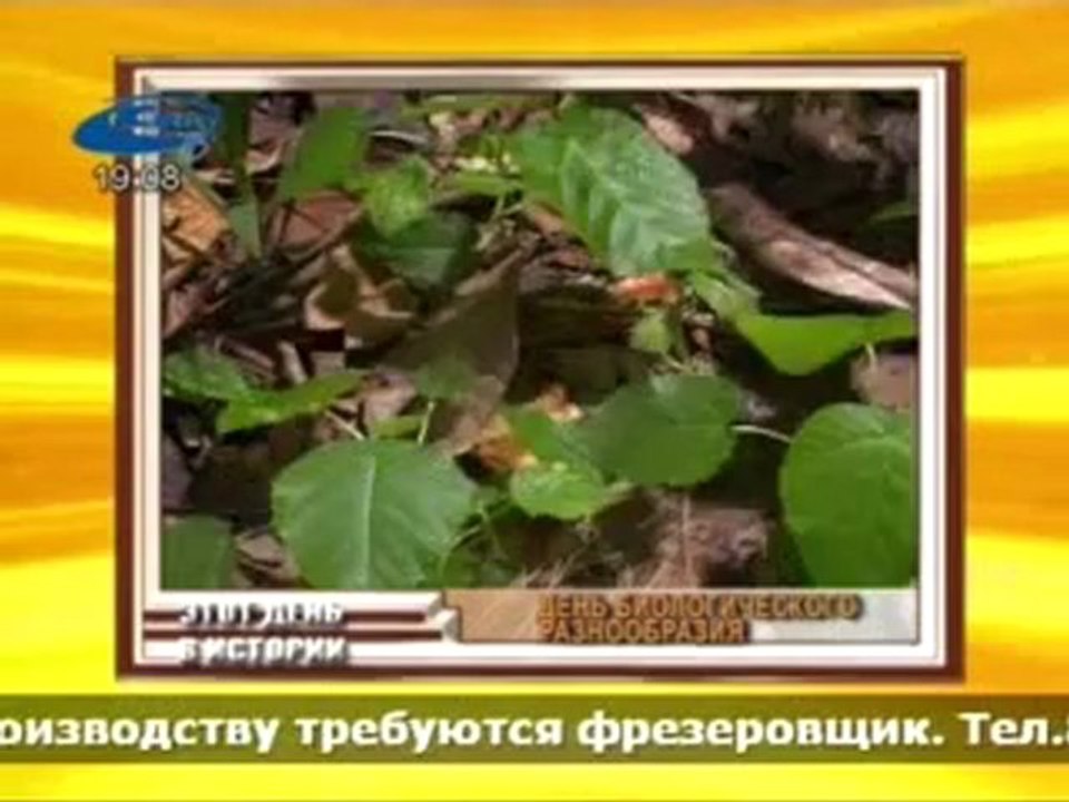 Актуально 22.05.2012