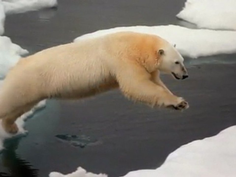 Le Paradis Blanc - Michel Berger