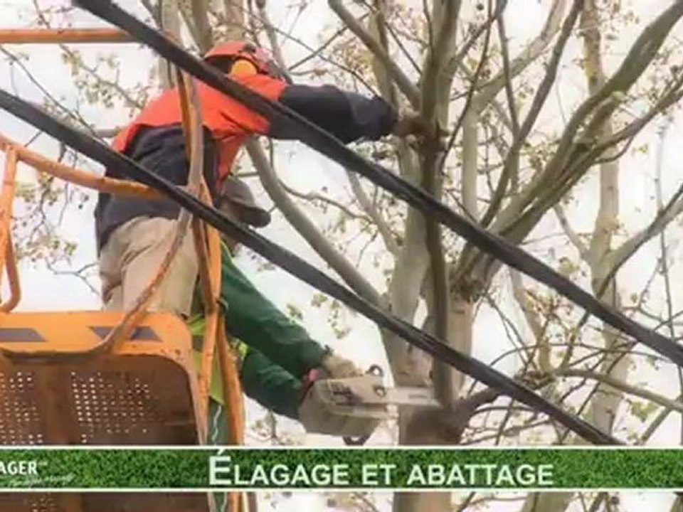 Déneigement à Aisne-Salage route au Picardie