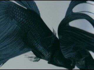 Drake - Take Care (Explicit) ft. Rihanna