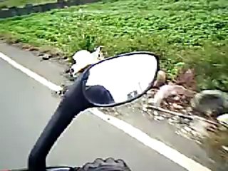 Navigating road debris...and my toilet fetish.