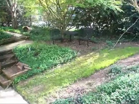 16 Cox Farm Court, Johnson City, TN