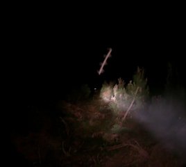 comptage animaux 22.05.12